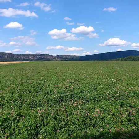 Falkennest Reinhardtsdorf-Schona