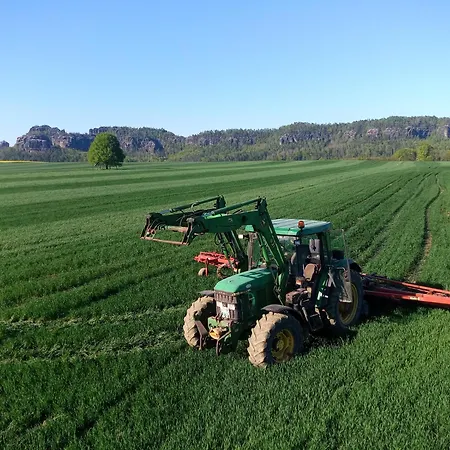 Apartamento Falkennest Reinhardtsdorf-Schona