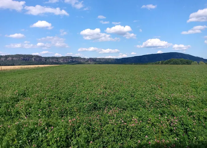 Falkennest Reinhardtsdorf-Schona