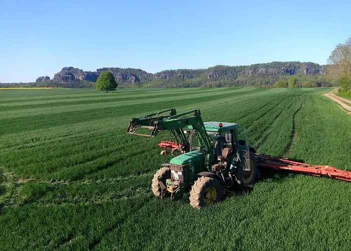 Daire Falkennest Reinhardtsdorf-Schona